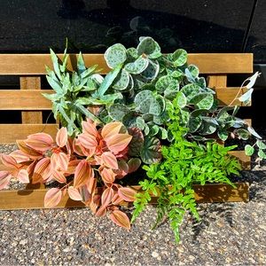 NWT Faux succulent/floral wall decor